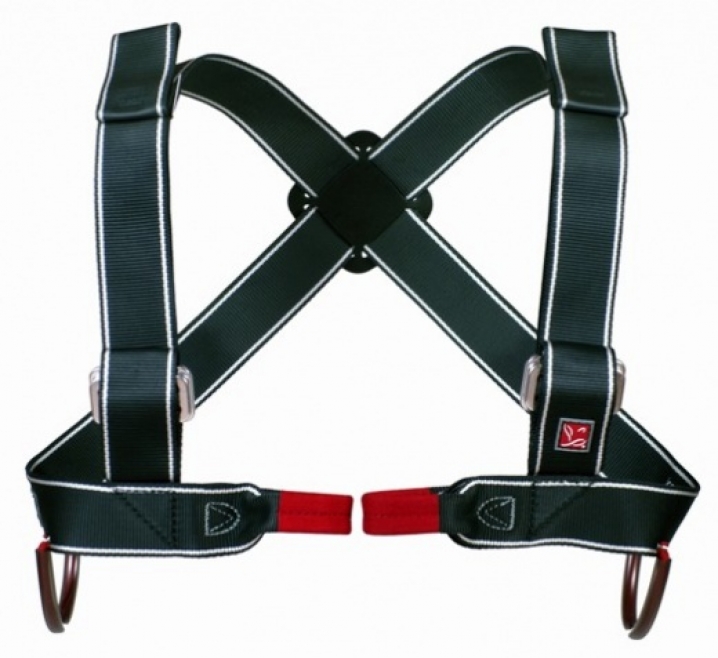 Harness smother Summer Breeze