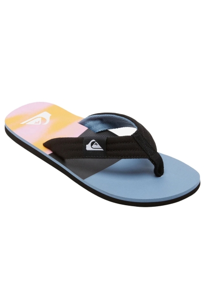 Quiksilver Molokaı Layback Erkek Parmak Arası Pembe Terlik