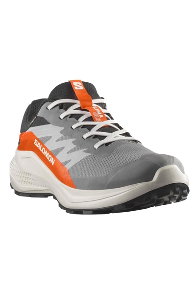 Salomon ALPHAGLIDE GORE-TEX Gri Erkek Koşu L47975300