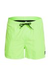  Quiksilver EQYJV03531 -  Everyday 15 Erkek Neon Yeşil Volley Short