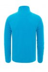 The North Face 100 Glacier Zip Sweatshirt (T92UARNXS)