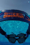 Blackfish Thin Mavi-Turuncu Suda Batmaz Gözlük Bandı