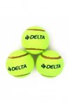 Delta Tenis Topu (DTY759)