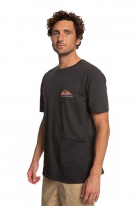 Quiksilver Pastımeparadise Siyah Erkek T-shirt 