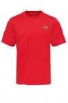 The North Face M Flex Erkek T-Shirt (T92XL6HCL)