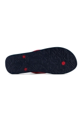 Quiksilver Molokai Core Lacivert Erkek Terlik 