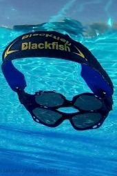 Blackfish Lacivert-Sarı Thin Suda Batmaz Gözlük Bandı