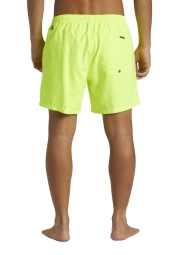 Quiksilver Everyday 15 Erkek Volley Neon Yeşil Şort