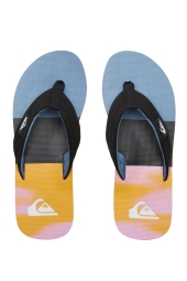 Quiksilver Molokaı Layback Erkek Parmak Arası Pembe Terlik