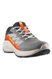 Salomon ALPHAGLIDE GORE-TEX Gri Erkek Koşu L47975300