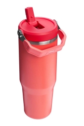 Stanley The IceFlow Flip Straw 0,89 LT Pipetli Termos Bardak  10-12043-076
